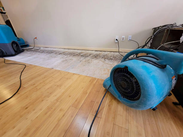 Professional Water Removal technician working in Bellaire, OH